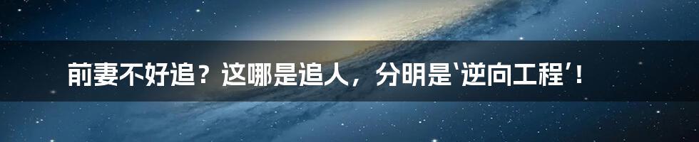 前妻不好追?这哪是追人,分明是‘逆向工程’!