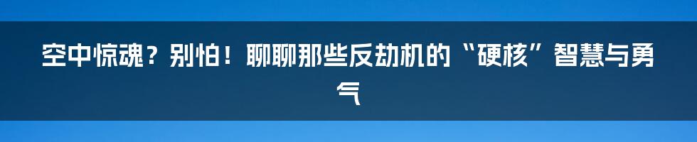 空中惊魂？别怕！聊聊那些反劫机的“硬核”智慧与勇气