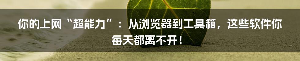 你的上网“超能力”:从浏览器到工具箱,这些软件你每天都离不开!