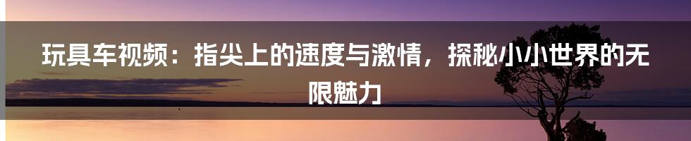 玩具车视频:指尖上的速度与激情,探秘小小世界的无限魅力