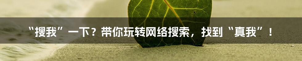 “搜我”一下?带你玩转网络搜索,找到“真我”!