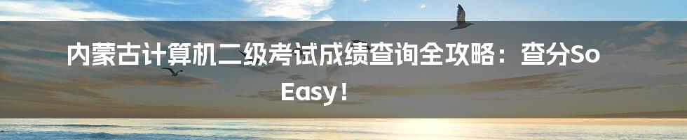 内蒙古计算机二级考试成绩查询全攻略:查分So Easy!