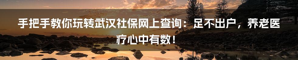 手把手教你玩转武汉社保网上查询:足不出户,养老医疗心中有数!