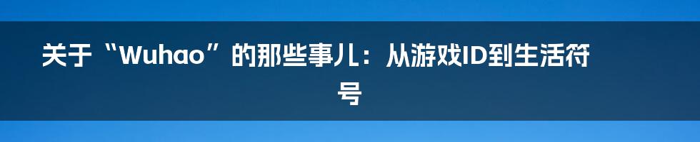 关于“Wuhao”的那些事儿:从游戏ID到生活符号