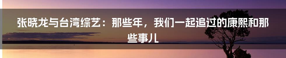 张晓龙与台湾综艺:那些年,我们一起追过的康熙和那些事儿