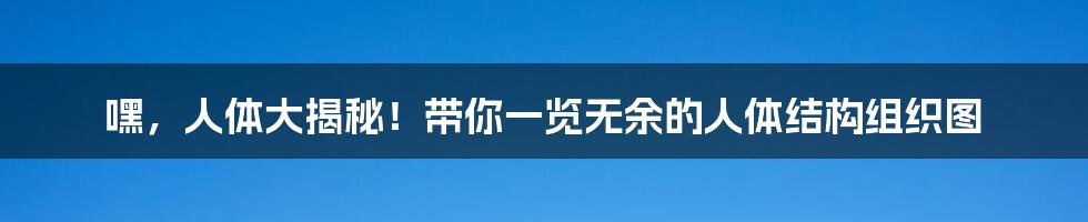 嘿,人体大揭秘!带你一览无余的人体结构组织图