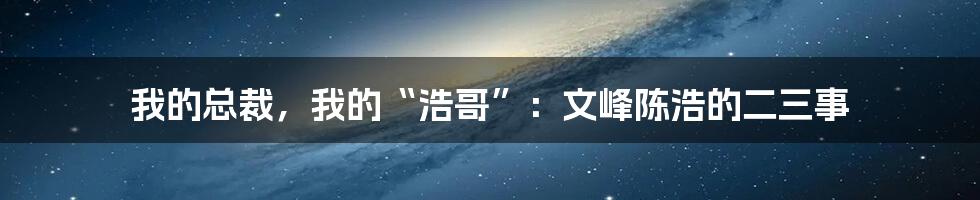 我的总裁,我的“浩哥”:文峰陈浩的二三事