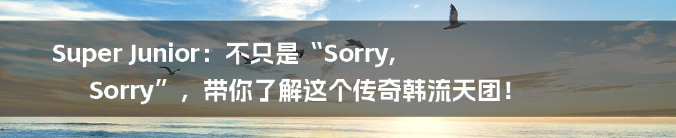 Super Junior:不只是“Sorry, Sorry”,带你了解这个传奇韩流天团!