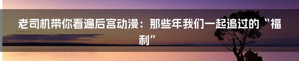 老司机带你看遍后宫动漫：那些年我们一起追过的“福利”